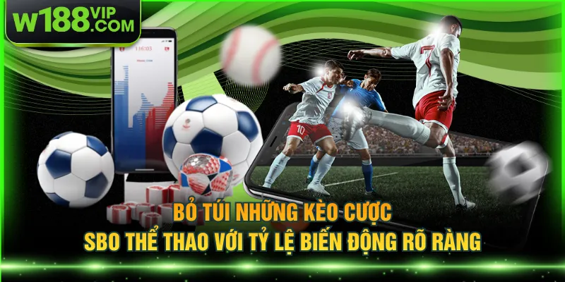 Bỏ túi những kèo cược SBO thể thao với tỷ lệ biến động rõ ràng